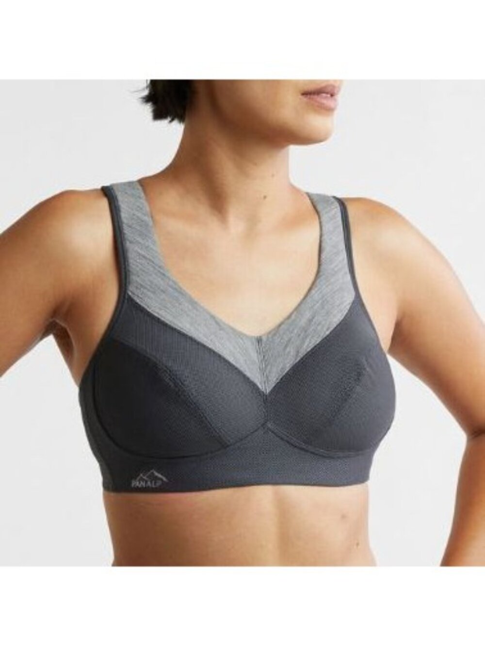 Anita Pan Alp Wool 42C Sport Bra NWT Gray